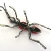 MARION GODART VERY LARGE INSECT BROOCH RED AND BLACK - Image 3